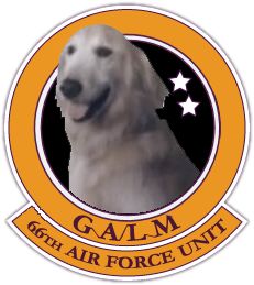 《皇牌空战7》里的“贴图狗”成了搞笑梗,但知道真相后我又伤感了起来-371 