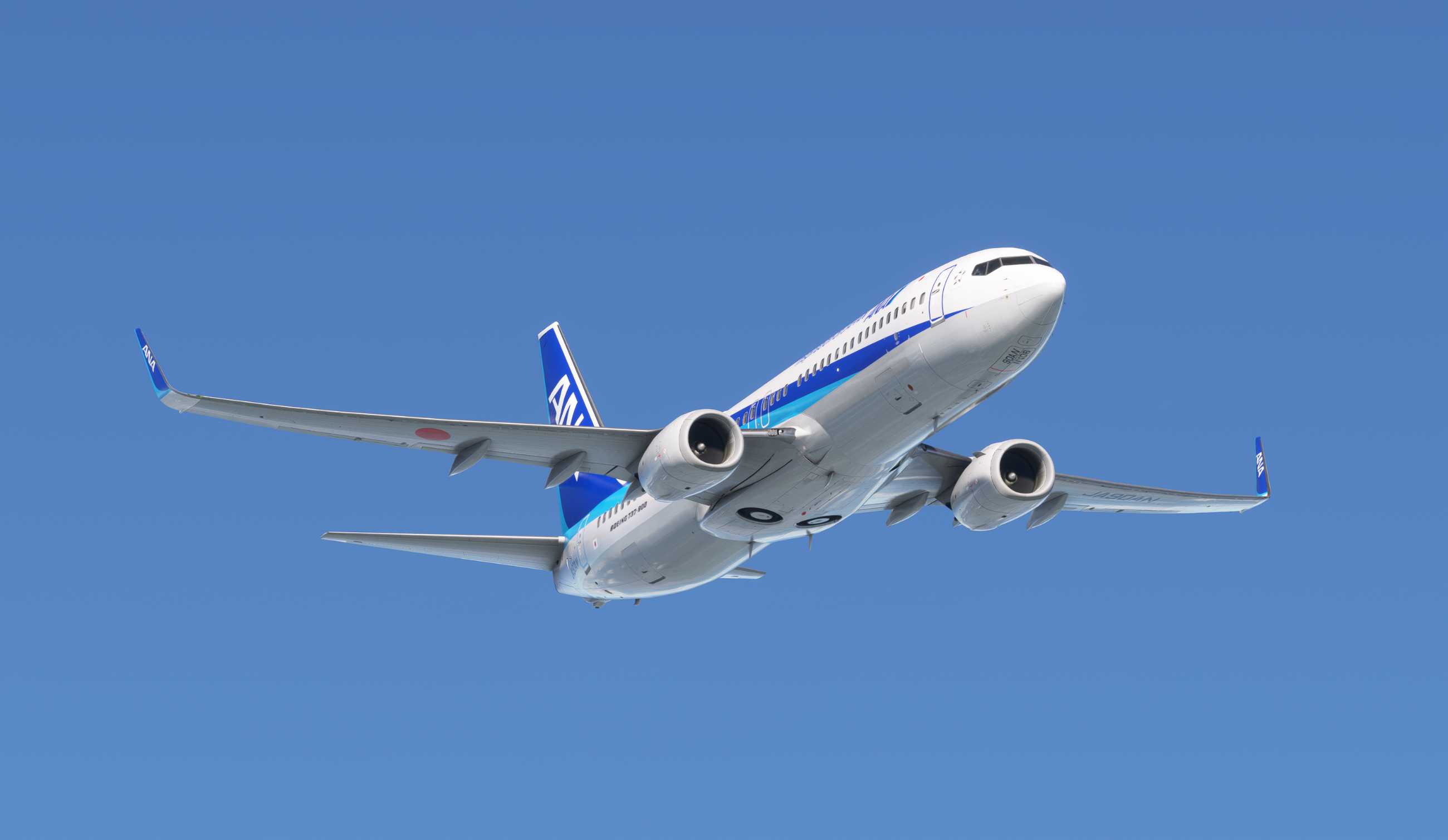 【MSFS】737-800 RJOO-RJFF-2130 