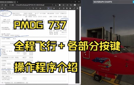 微软飞行模拟2020 PMDG 高阶版教程（全）-7630 