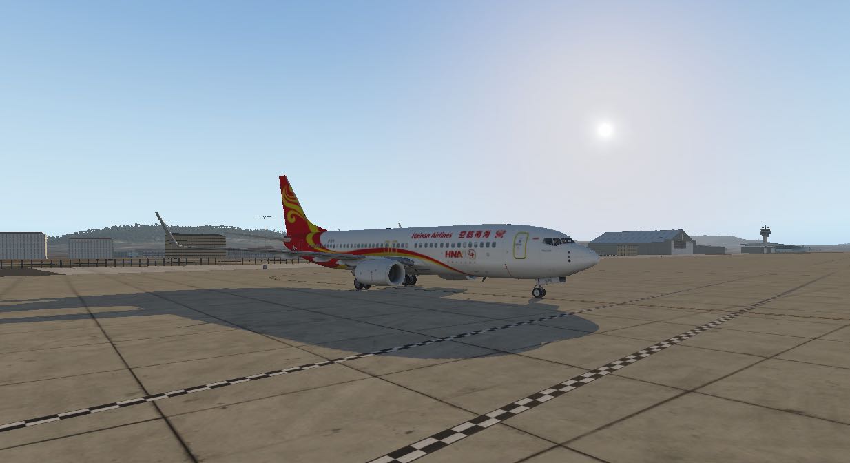 海南航空特别涂装-4521 