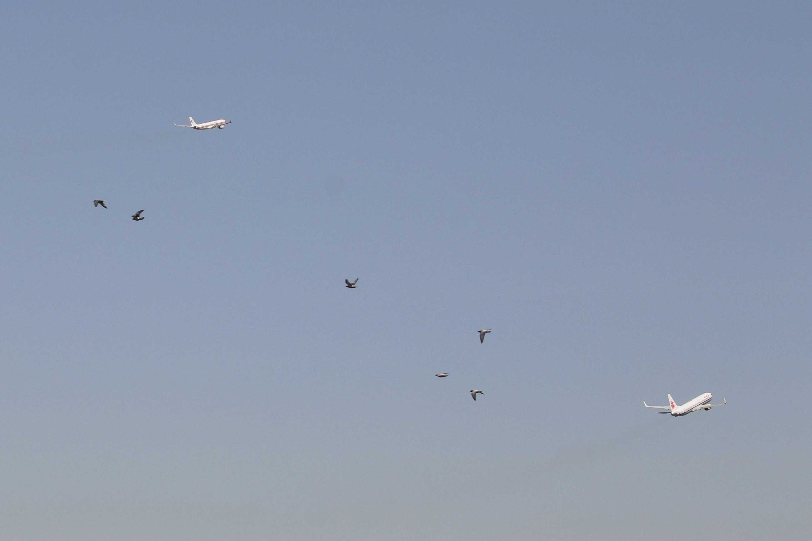 电脑翻出2016年拍的飞机3-2112 