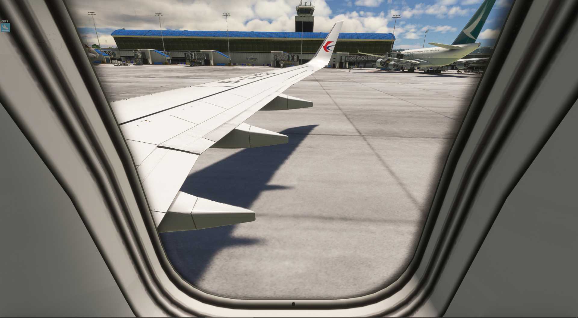 MSFS20  MNMG-----MPTO-4204 