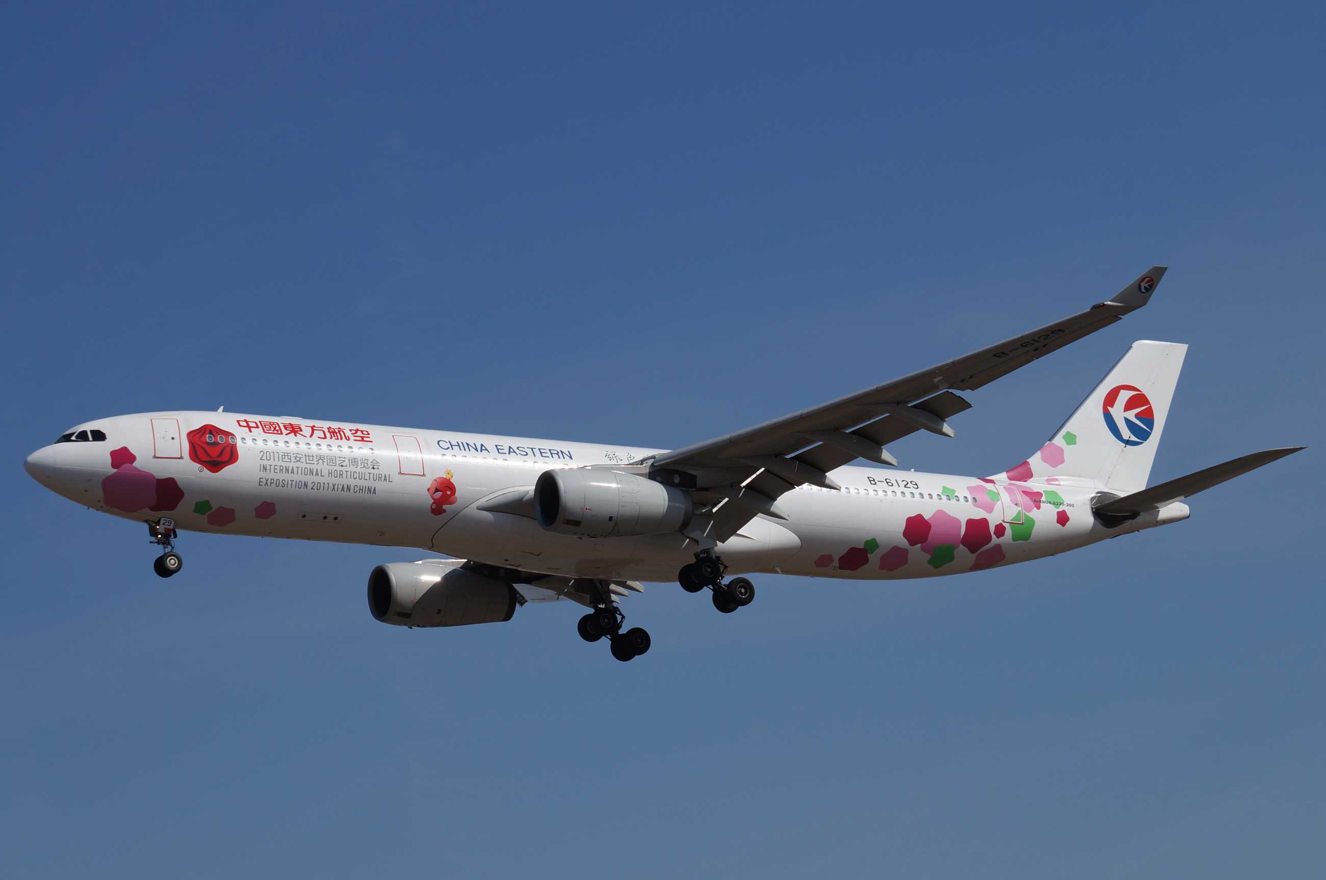 发一批2013年拍的飞机-6710 