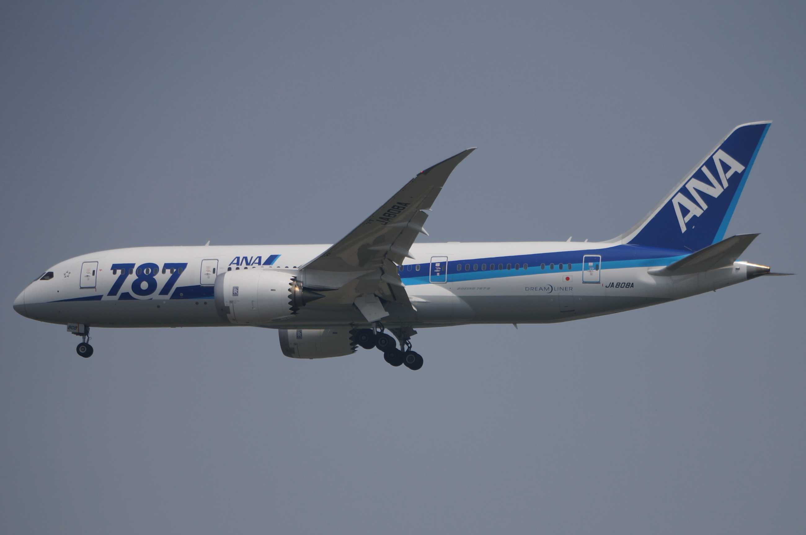 发一批2013年拍的飞机-8973 