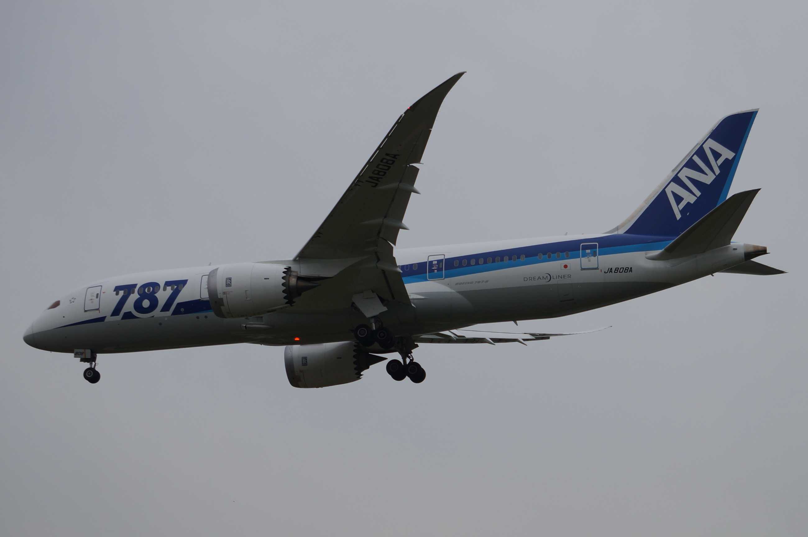 发一批2013年拍的飞机-6812 