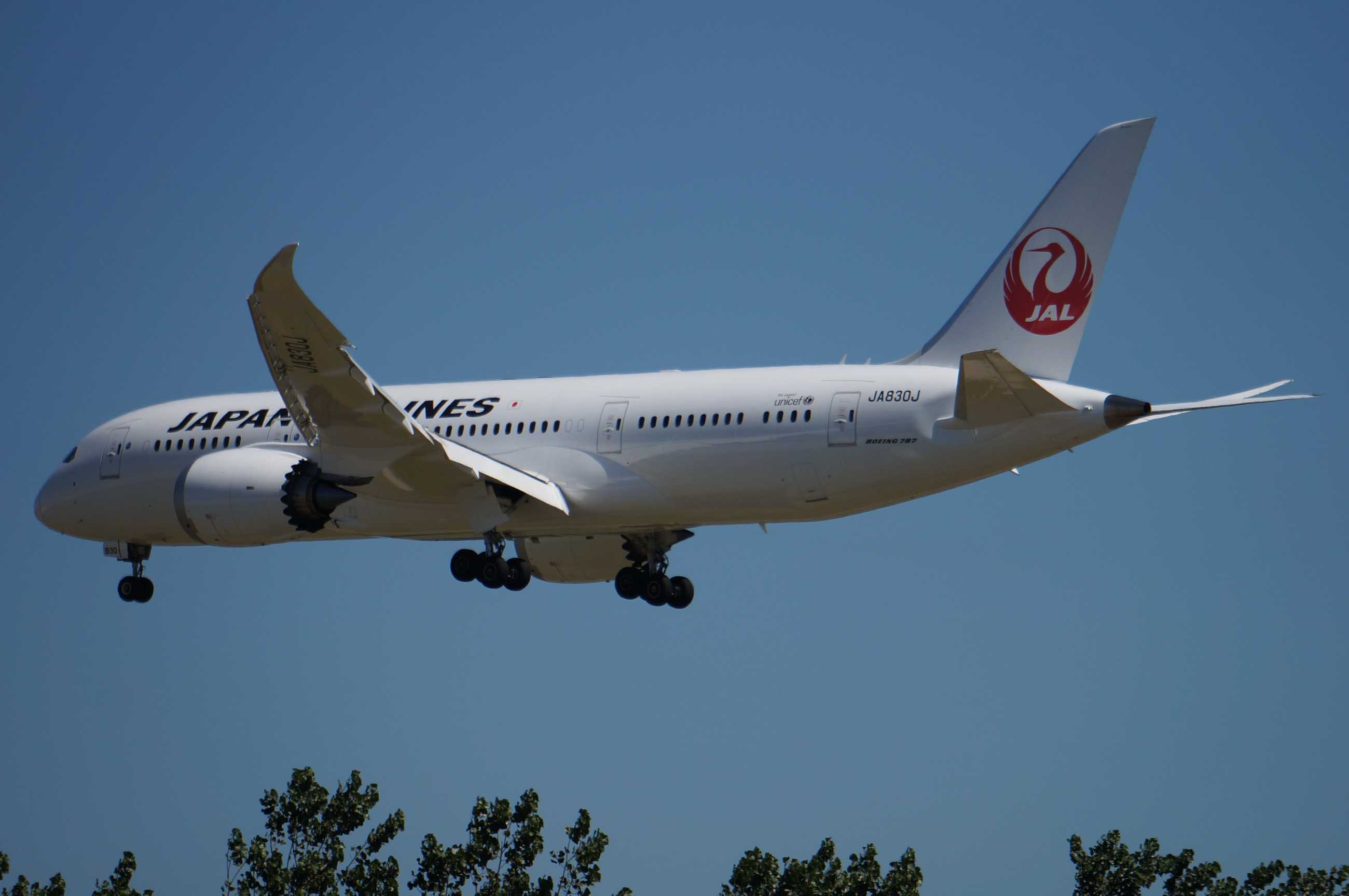 发一批2013年拍的飞机-8743 