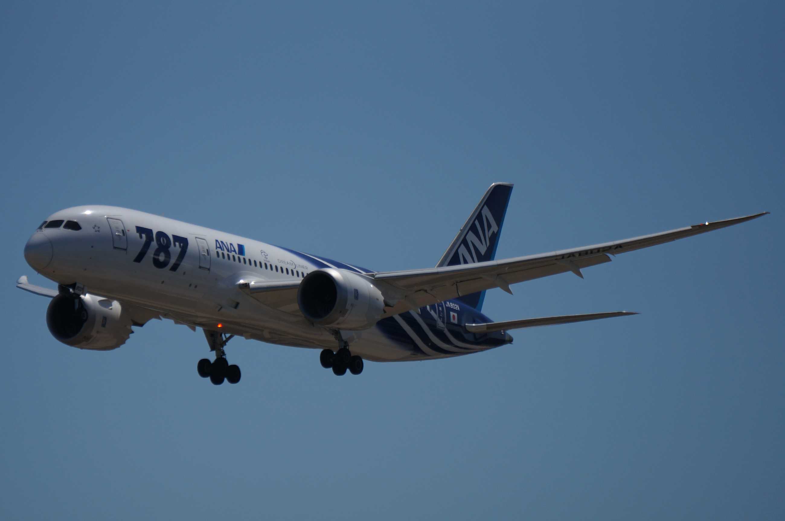 发一批2013年拍的飞机-7841 