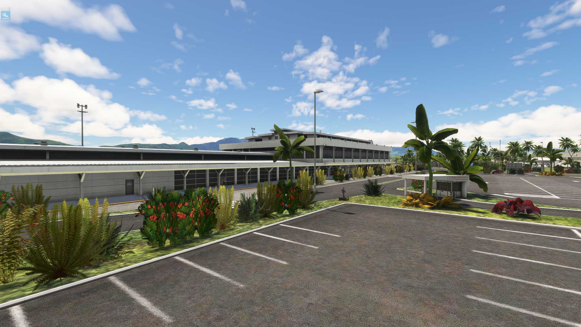 MSFS20  NFFN---NSFA-1206 