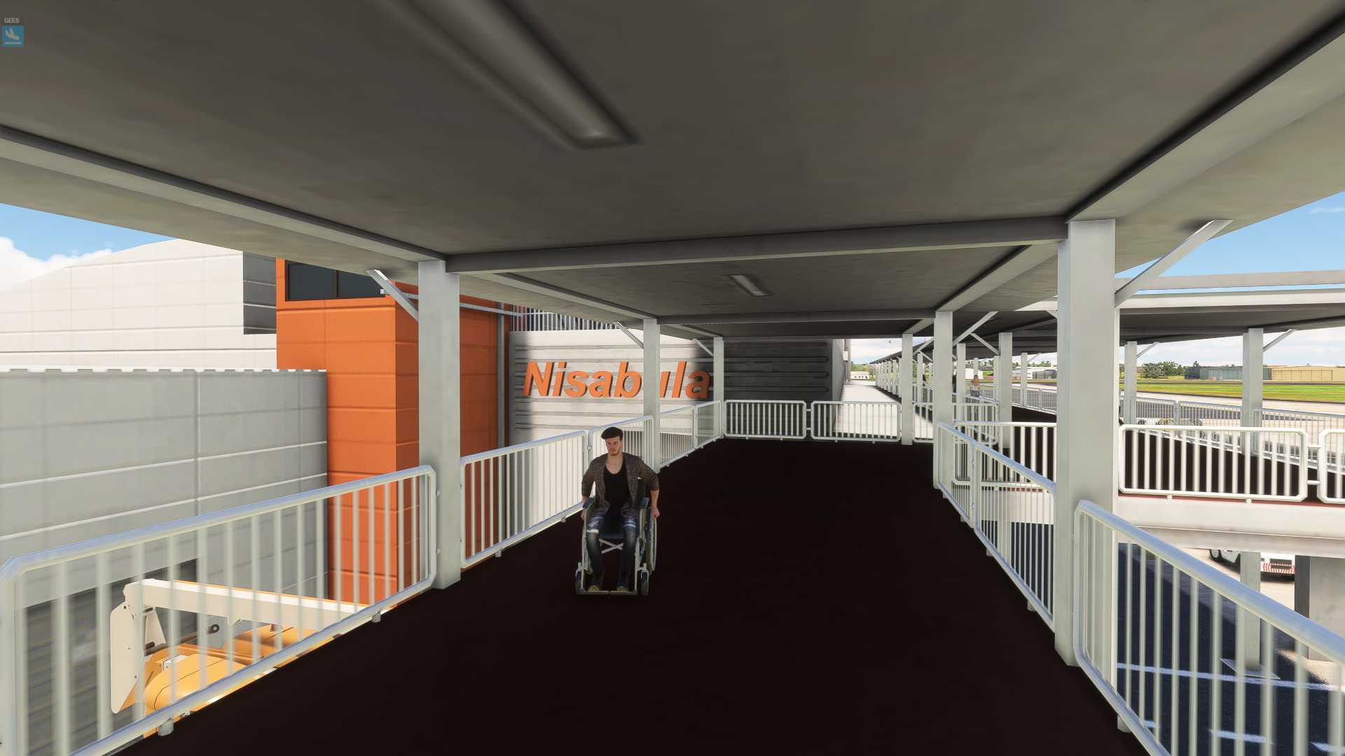 MSFS20  NFFN---NSFA-667 