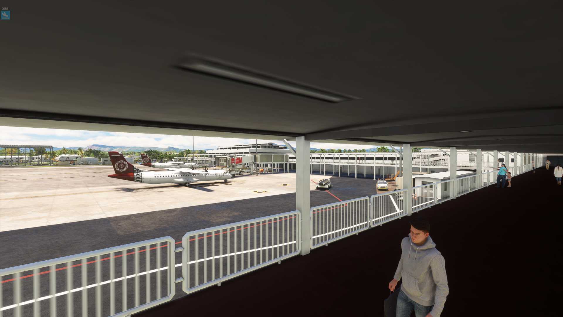 MSFS20  NFFN---NSFA-6386 