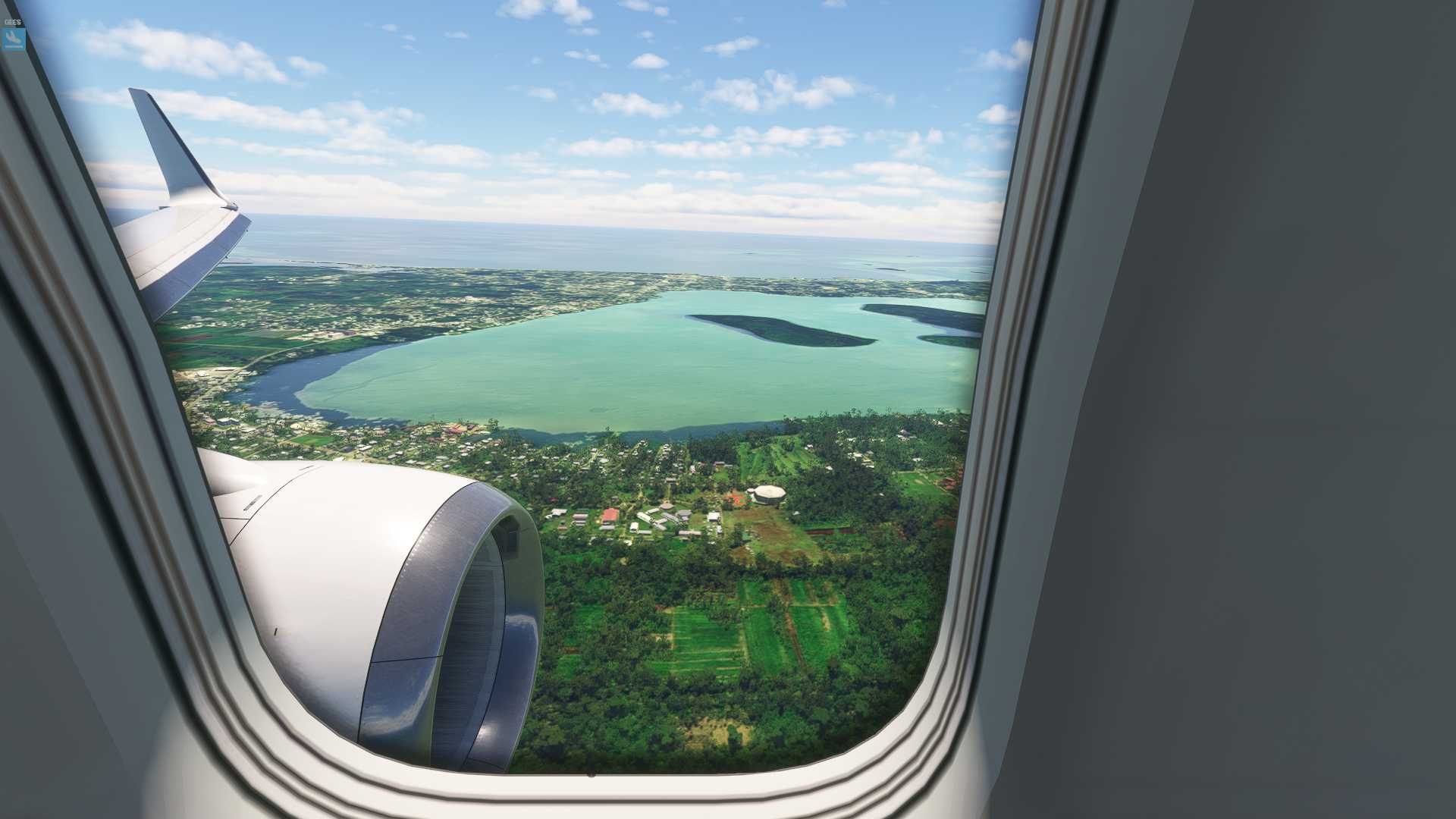 MSFS20  NCRG---NFTF-5106 