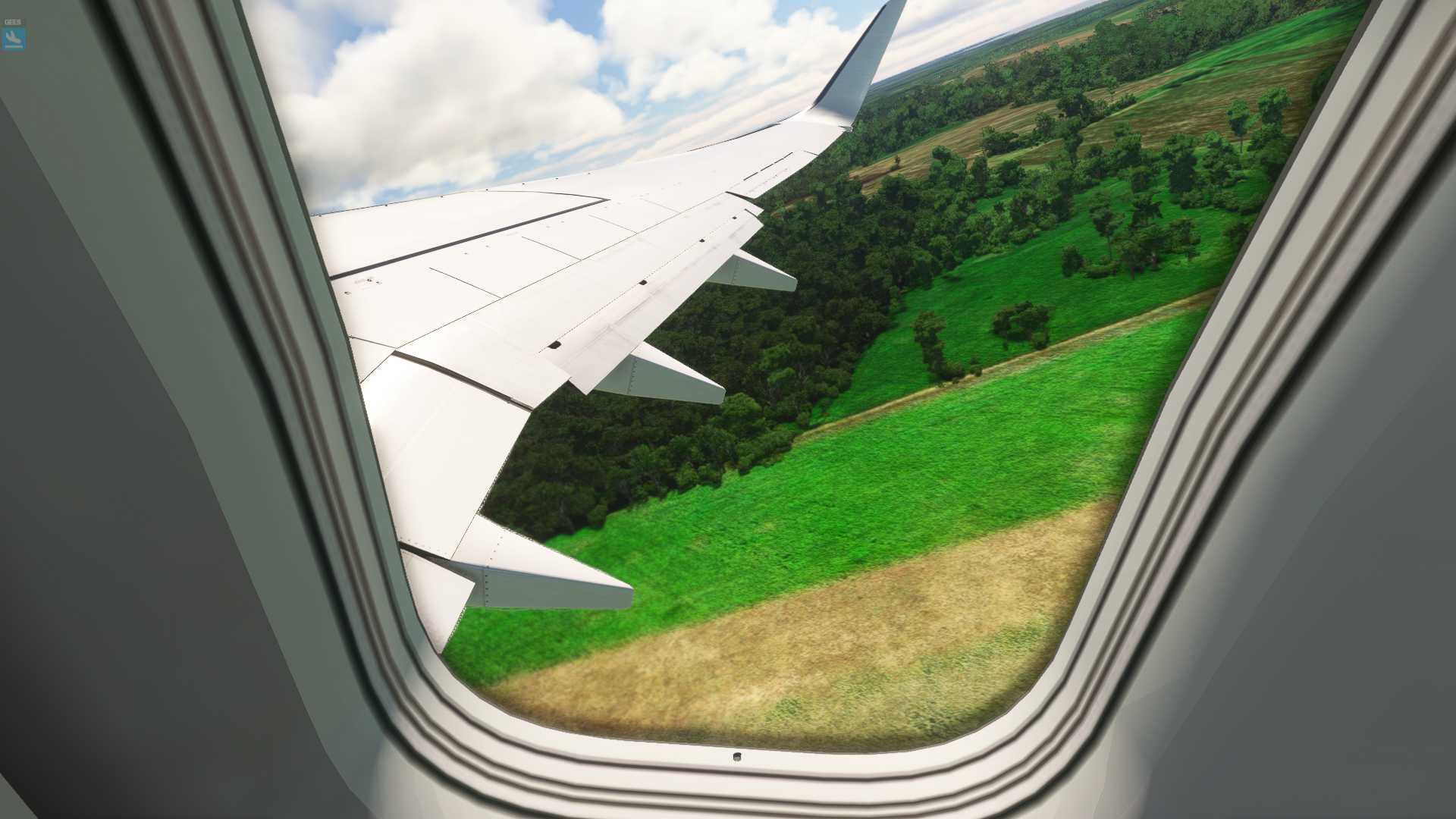 MSFS20  NFTF---YSNF-1955 