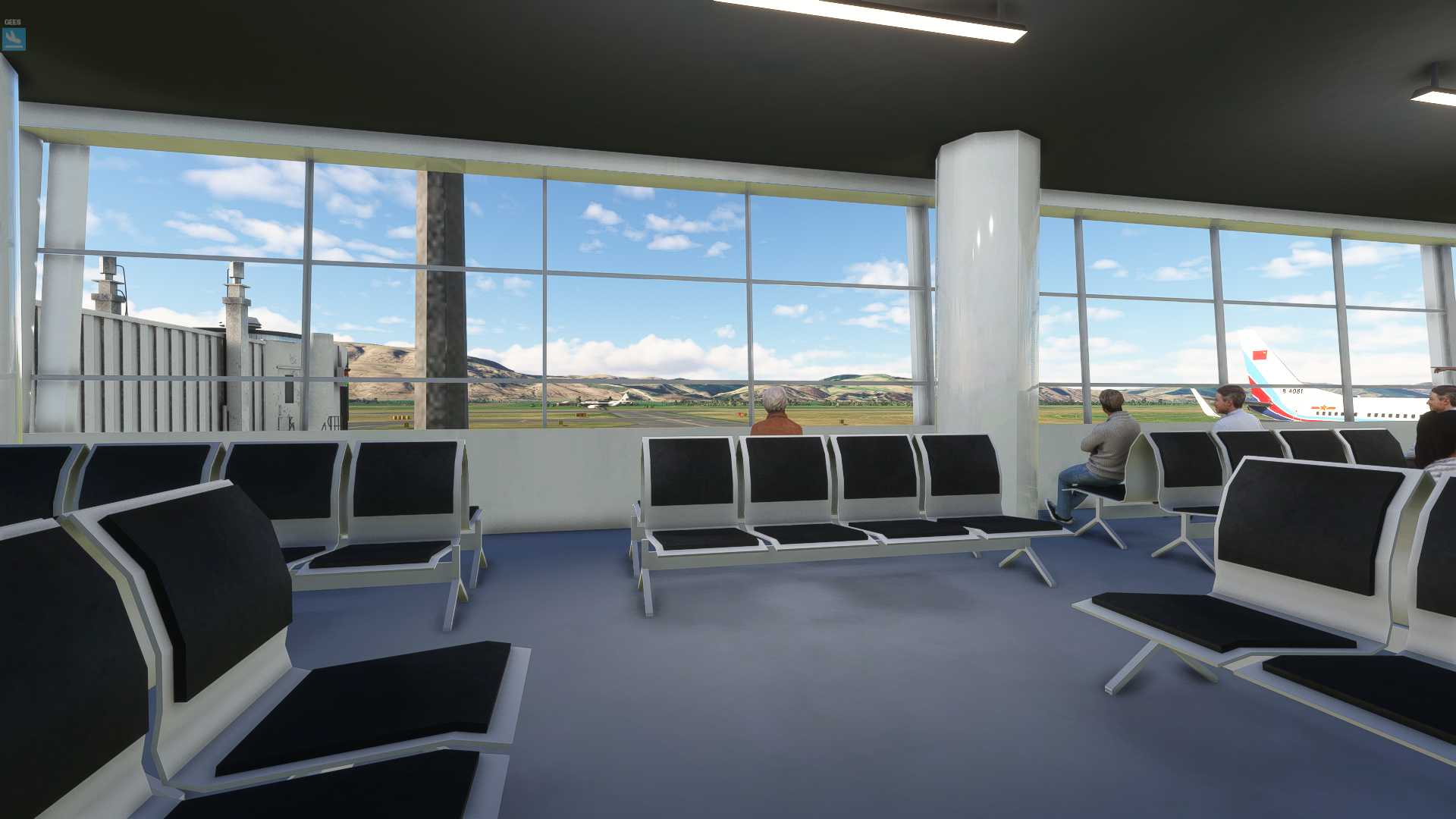 MSFS20  NZDN---NZHK-8607 