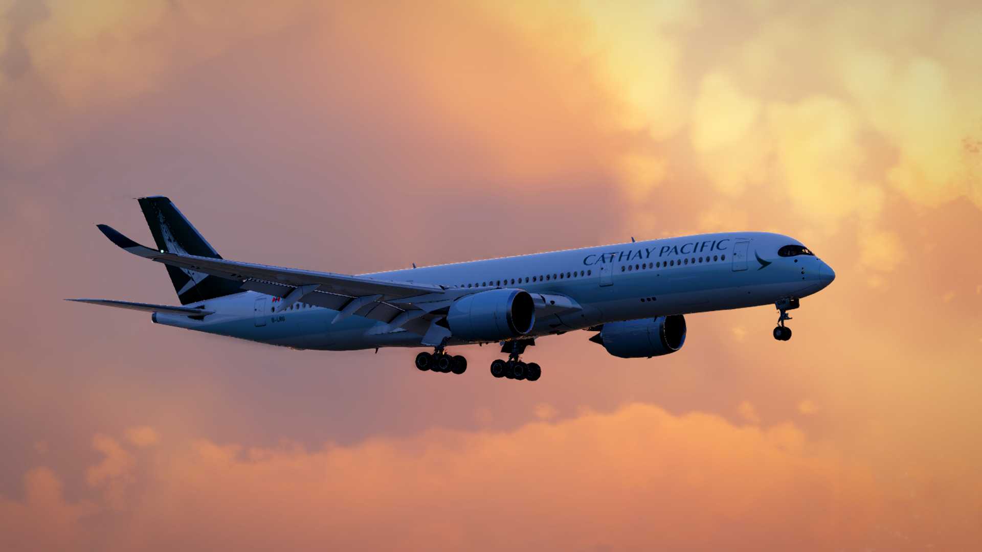 B-LRG WSSS ILS25C-8456 