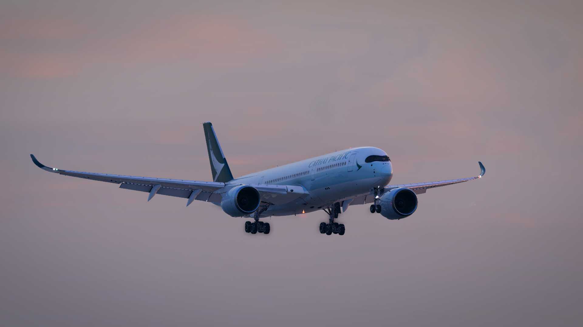 B-LRG WSSS ILS25C-8606 