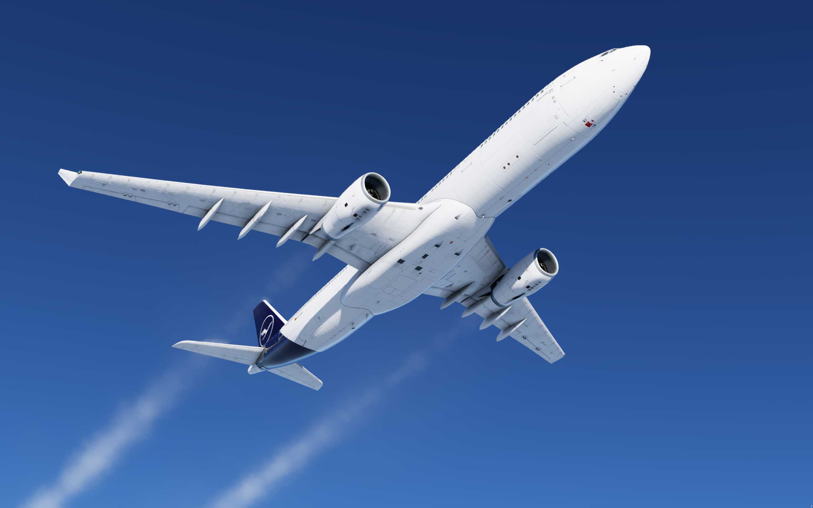 XP12-8893 