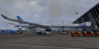 X-Plane 12美图