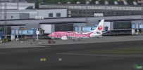 FSX B737 JAL 粉紅鯨 JA8992 @ ECKH