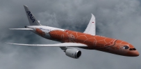 B787 ANA Flying Honu "Ka La" Red