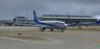 B737 ANA @ ROAH part2