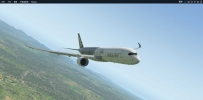 第一次玩xplane11兄弟们看看这图拍的行不行